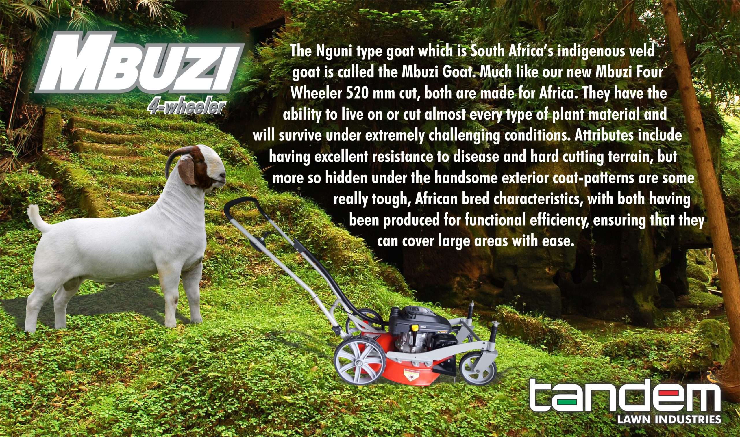  TANDEM IMBUZI TORX 225 H/DUTY MOWER 